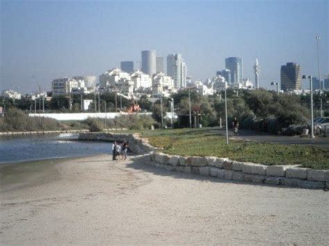 nyu study abroad tel aviv